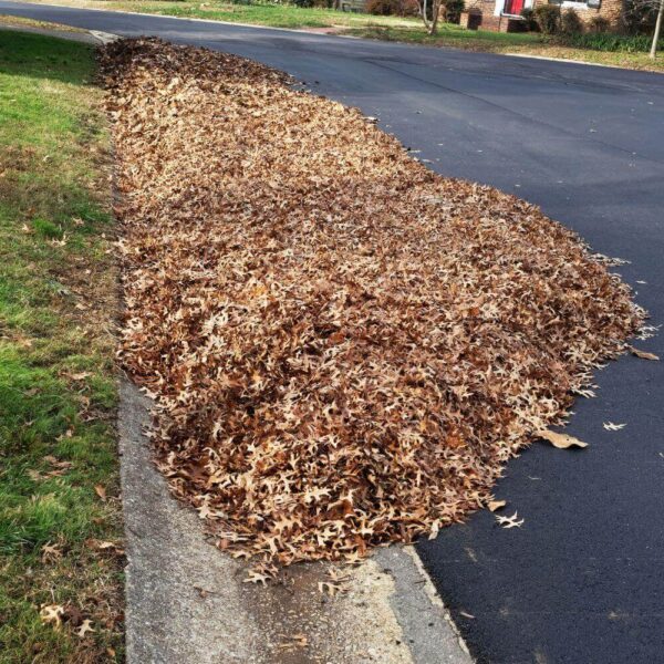 Curb Cleanup (Gravel, Debris, Weeds)