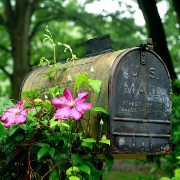 Mailbox Cleaning