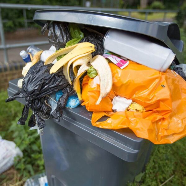 Trash Bin Cleaning